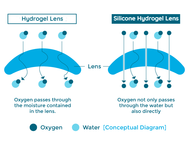 Contact Lenses Buying Guide Spexmaster