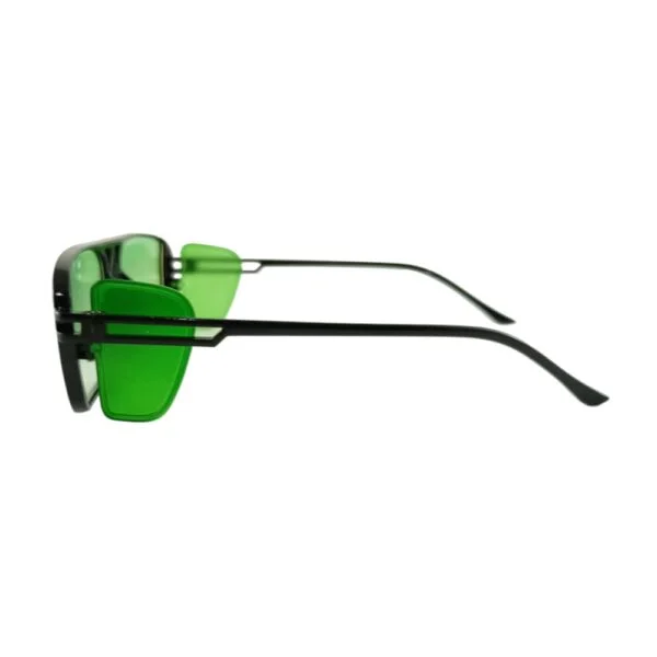 Sunglass - Temples view