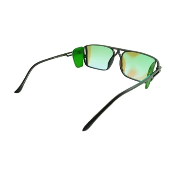 Sunglass - Back