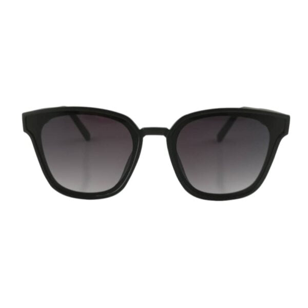 Sunglass - Front view