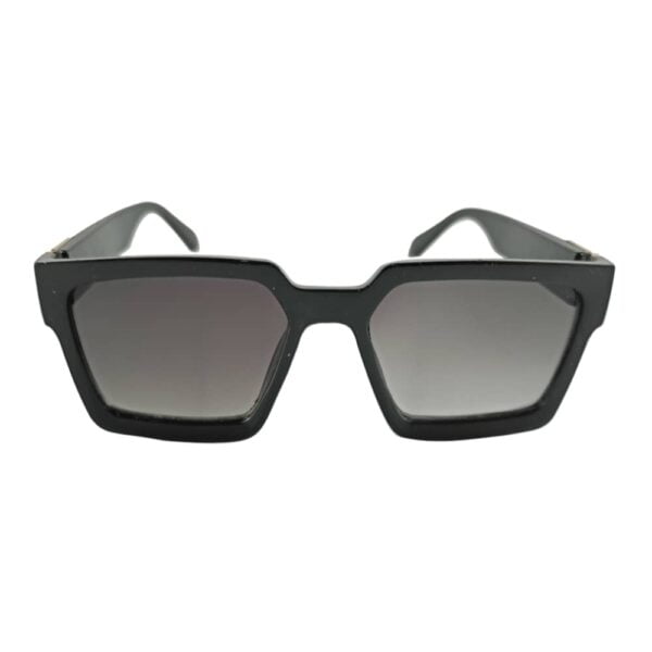 Sunglass - Front view