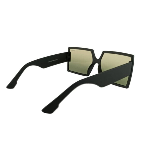 Sunglass - Back