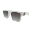 Sunglass -Diagonal view