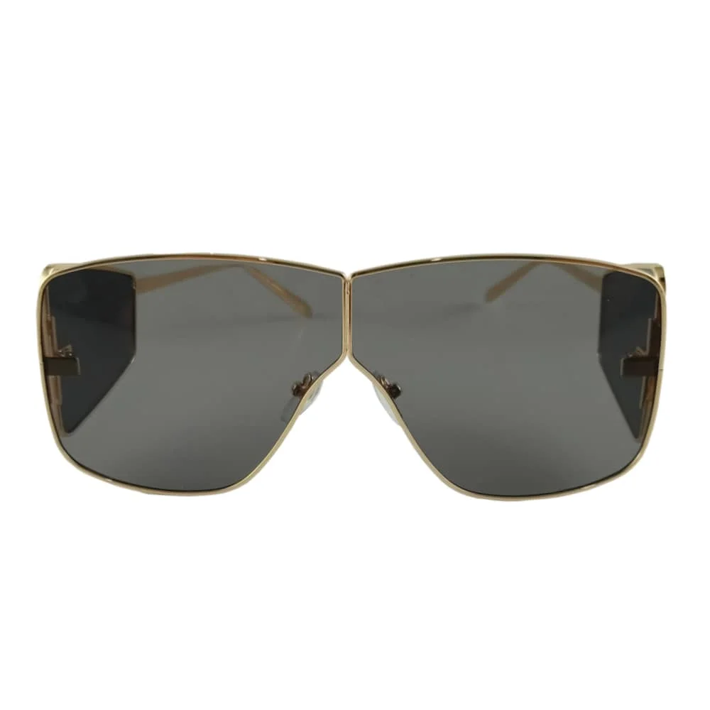 Sunglass - Front view