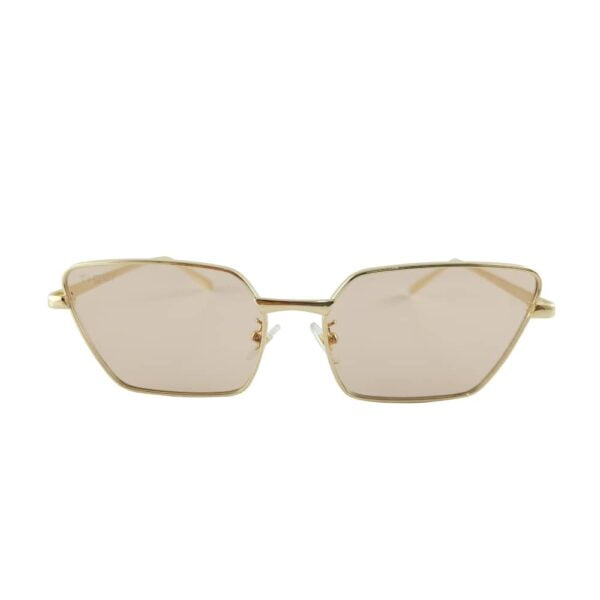 Sunglass - Front view