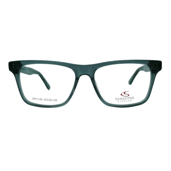 Sandpiper Black Transparent Eyeglass