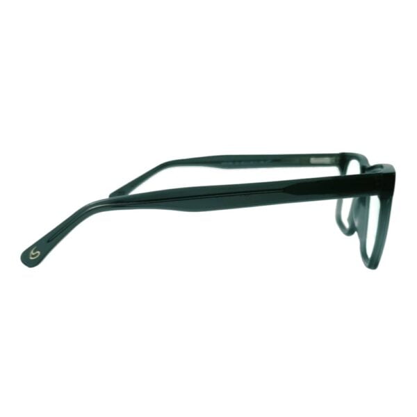 Sandpiper Black Transparent Eyeglass